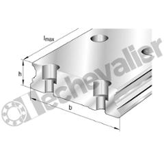 TKVD20-W-G3 RAIL DE GUIDAGE LE M. - INA