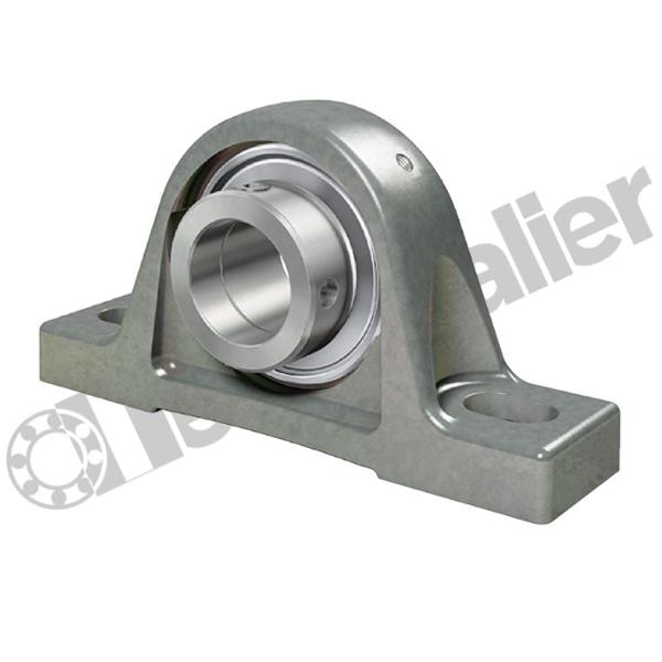 PASE20-XL-N-FA125 PALIER INA