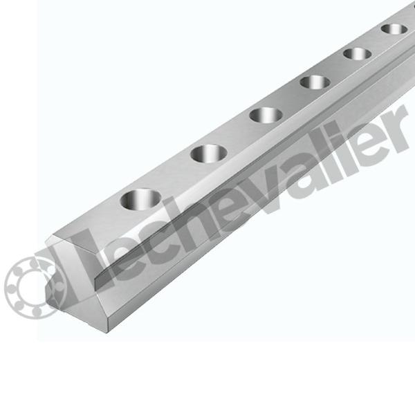 TSX55-E-G2 RAIL DE GUIDAGE LE M. - INA
