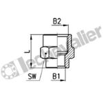 2553 1/2-3/4 REDUCTION F-F LAITON 3/4 X 1/2 - BSPP - CAMOZZI