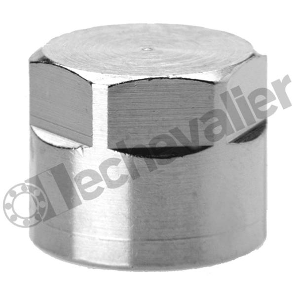 FR2613 3/4 BOUCHON FEMELLE TETE H F3/4 - BSPP - CAMOZZI