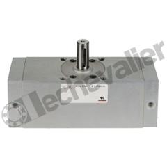 30-050/090 VERIN ROTATIF D-E- D50 ANGLE 90° AMORTI