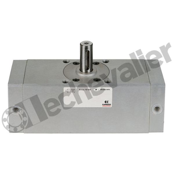 30-080/180 VERIN ROTATIF D-E- D80 ANGLE 180°AMORTI