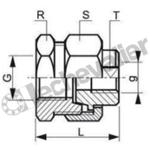 341I.8X13 UNION MF INOX 316L ( 1/4 ) BSPT/BSPP - PN20