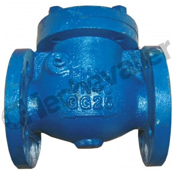 CARB.DN150PN16 CLAPET A BATTANT FONTE / BATTANT LAITON FAF=400mm