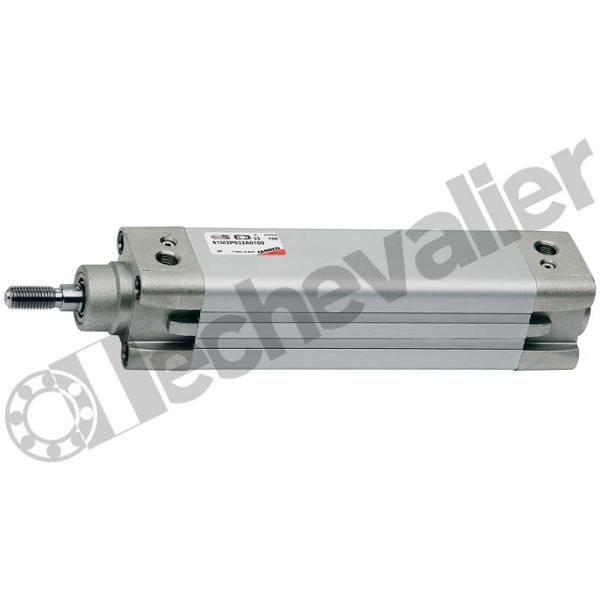 61M2P032A0075 VERIN ISO15552 D.E. MAGN. D32 C75 PROFILE