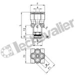 7572 4-1/8 Y MALE CENTRE 1/8-4X 8 M1/8 BSPP TECHNOPOLYMERE - CAMOZZI