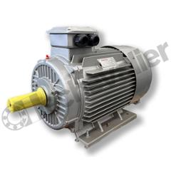 YX3 160L-4 B3 KW15 IE3 MOTEUR SNE 400VD/690VY FONTE