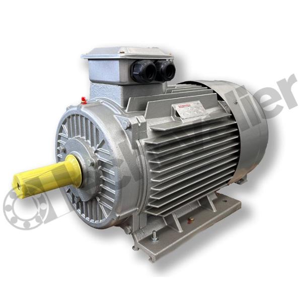 YX3 180L-4 B3 KW22 IE3 MOTEUR SNE 400VD/690VY FONTE