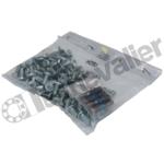KIT 31-31 - VIS M5X10 LOT 100 VIS RAIL ROLLON