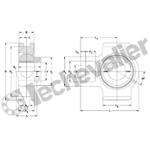 NAU4LKST205 PALIER INOX TIMKEN