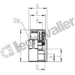 6463 6-1/4 PIQUAGE FEMELLE 1/4-D6 F1/4 BSPP - CAMOZZI