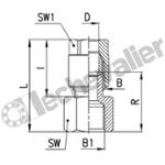 1063 8-1/8 PIQUAGE FEMELLE 1/8-D8 A BAGUE + OLIVE D8mm - CAMOZZI