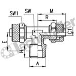 1410 8/6-1/4 TE MALE CENT. 1/4-8 A COIFFE - TUBE PA 6X8 - CAMOZZI