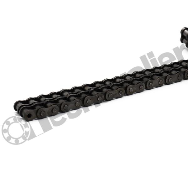 10B2 REGINA CHAINE INOX CHAINE 15,87 DOUBLE * RLX 10M *