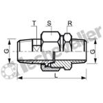 342I.15X21 UNION MM INOX 316L ( 1/2 ) - BSPP