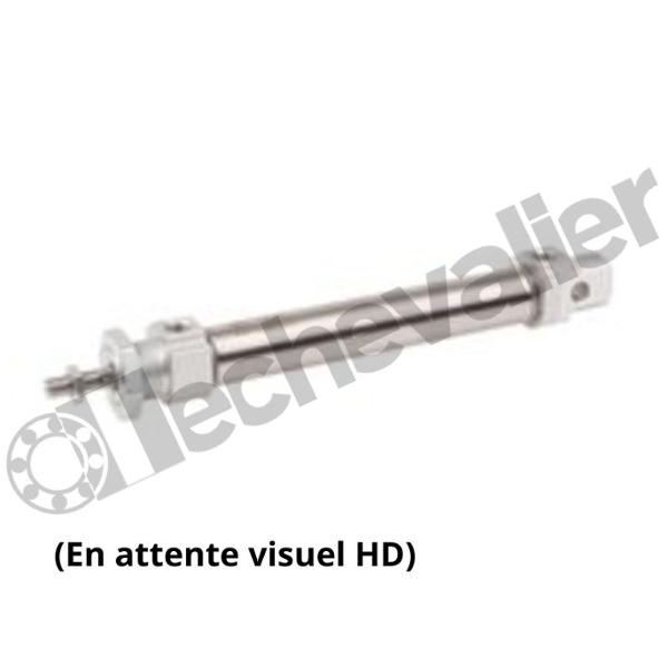 MNI-DA-25-0050 VERIN ISO6432 D.E. MAGN. D25 C50 - AVENTICS