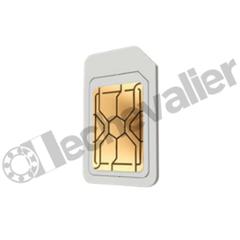 GATEWAY SIM 12 mois PERMA