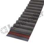 1000H 075 CONTITECH COURROIE SYNCHROBELT CONTI