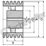 SPB355 5 GORGES MONOBLOC POULIE TRAP FONTE COURROIE L16,3MM