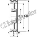 SPA170 5 GORGES MA (TL3020) POULIE TRAP FONTE COURROIE L12,7MM