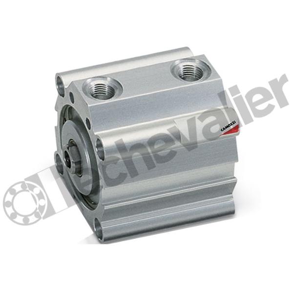 QP2A020A020 VERIN COMPACT D.E. MAGN. D20 C20