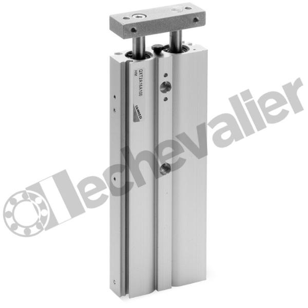 QXT2A016A010 VERIN BI-TIGES D.E. LISSES MAGN. D16 C10