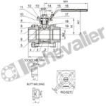 RTSIFF.2.3PM VANNE 1/4T FF INOX -20 à +180°C - PI - PN64 - PTFE+FV