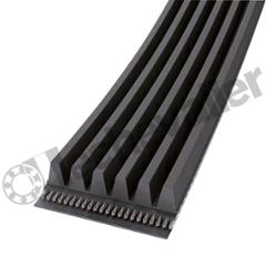 PJ 1016 CONTITECH COURROIE MULTIRIB CONTI