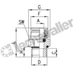 X6512 6-1/8 PIQUAGE MALE 1/8-D6 M1/8 BSPP - AISI 316-  CAMOZZI