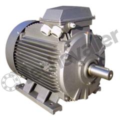 YX3 160L-4 B3 KW15 IE3 MOTEUR SNE 400VD/690VY FONTE