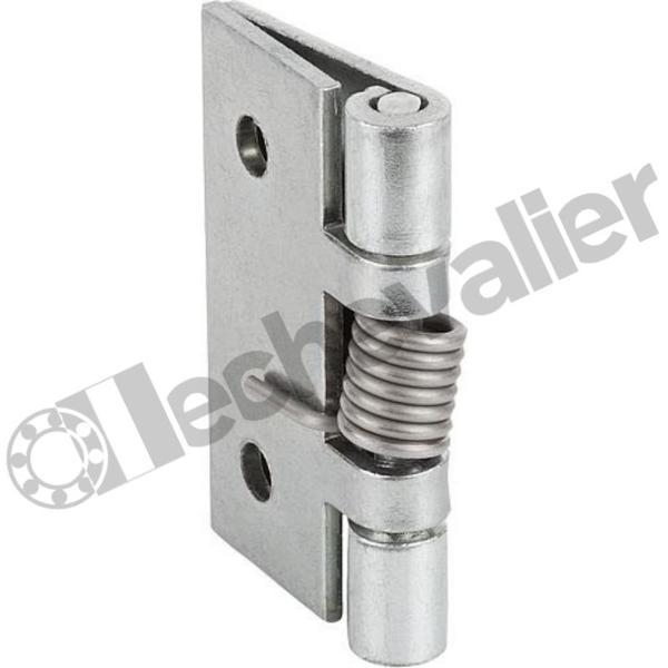 K1173.250501 CHARNIERE A RESSORT FERMETURE A RES