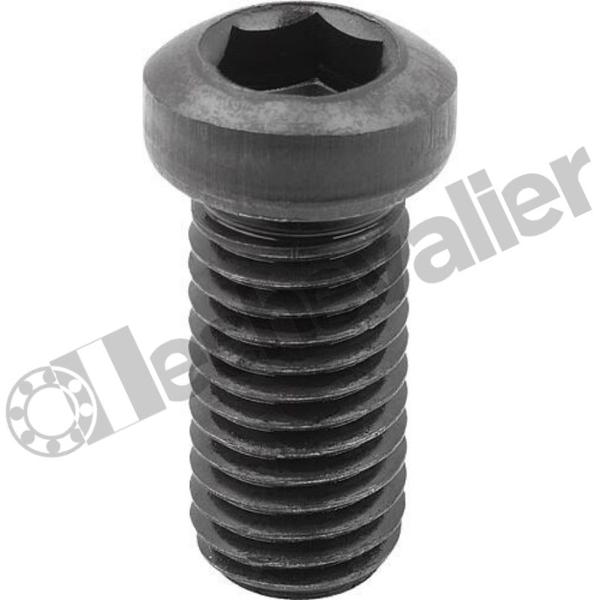 K1969.1225 VIS EXCENTRIQUE M12X25, FORME:B, AC